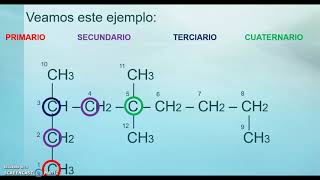 Carbon types, chain types and isomerism Carbon types, chain types and isomerism