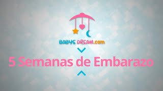 Bebé - 5 Semanas de Embarazo | Signos y síntomas del embarazo