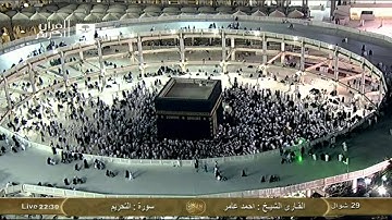 سورة التحريم At-Tahrim - أحمد عامر Saudi Quran HD