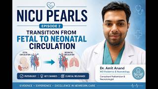 Transition from Fetal to Neonatal Circulation Explained | NICU Pearls Episode 2