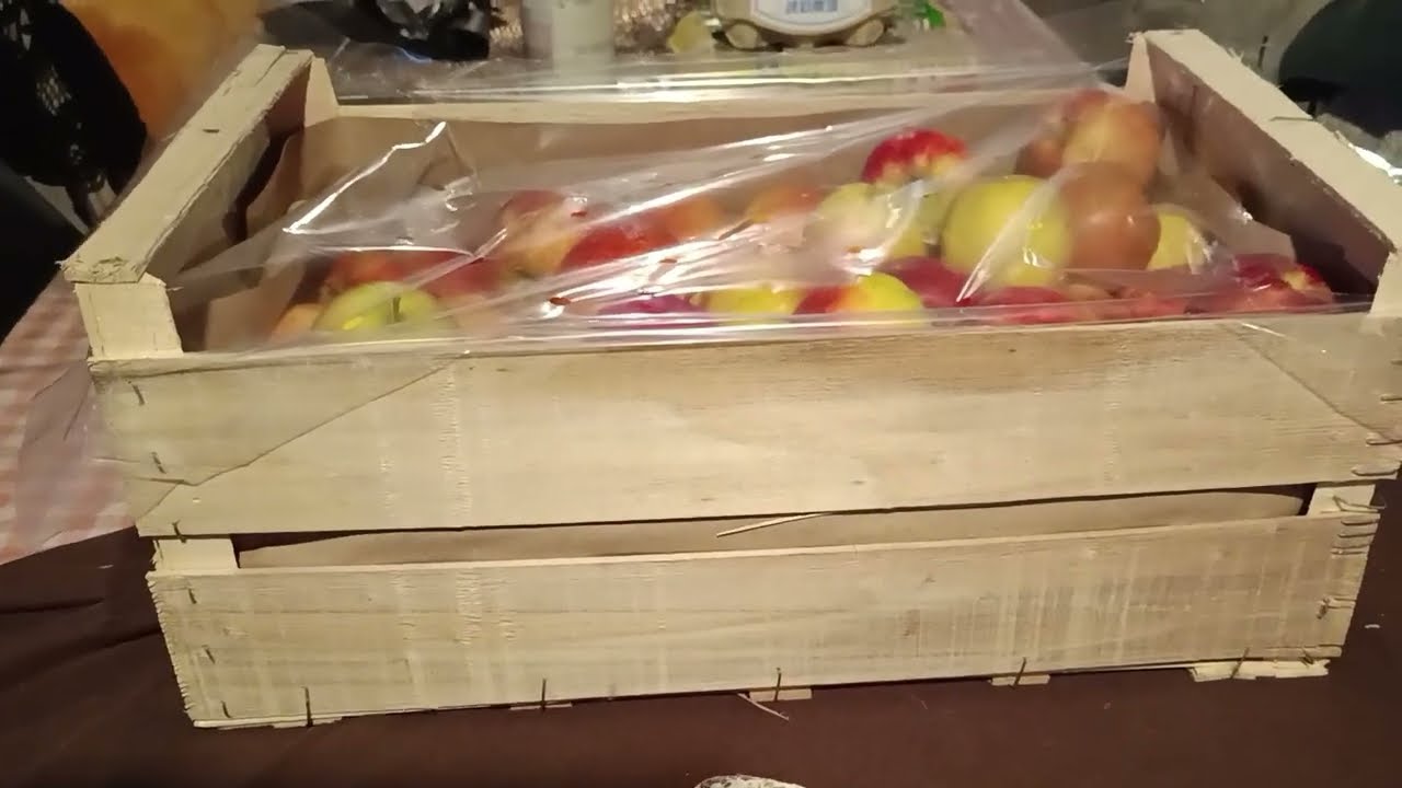 Франция, обыкновенная жизнь 🐕🫶