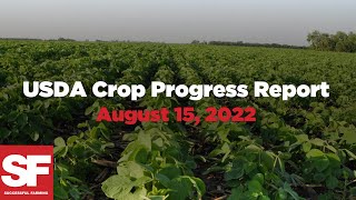 Crop Progress Report | August 15, 2022 | Successful Farming