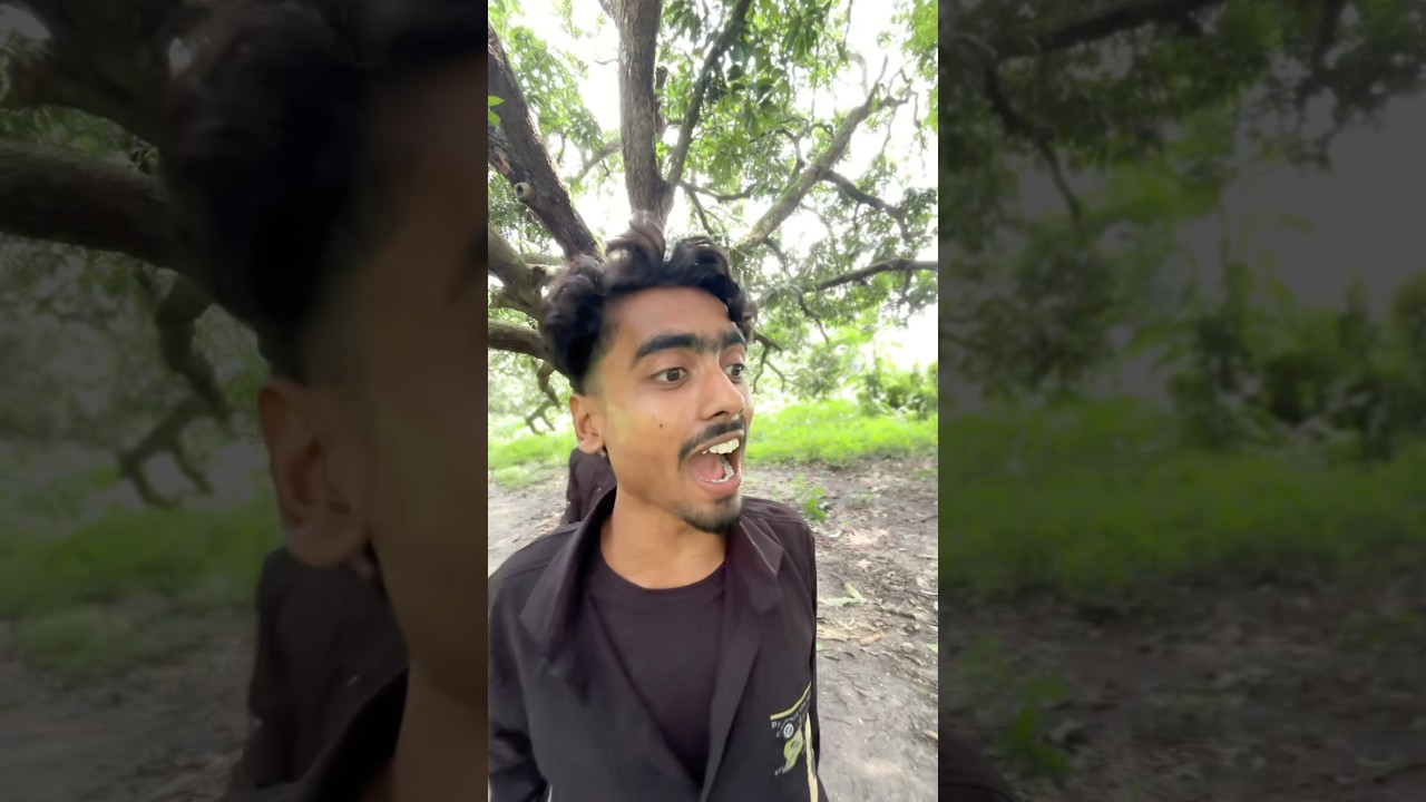 Trollex vs Jaitai 😂 ||