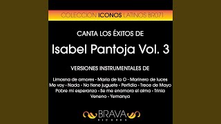 Limosna de Amores (Instrumental Version) (Originally Performed By Isabel Pantoja)