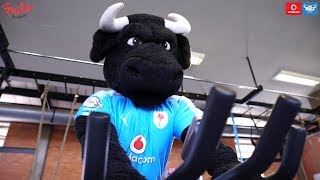 'Cyclethon' with the Vodacom Blue Bulls and the Smile Foundation screenshot 1