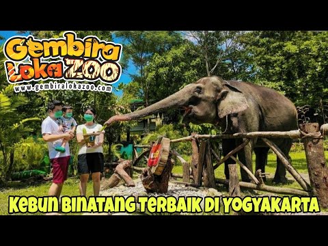 HaHaHa..Sholikin Suka Tatin - Gembira Loka (Versi Bahasa Indonesia)