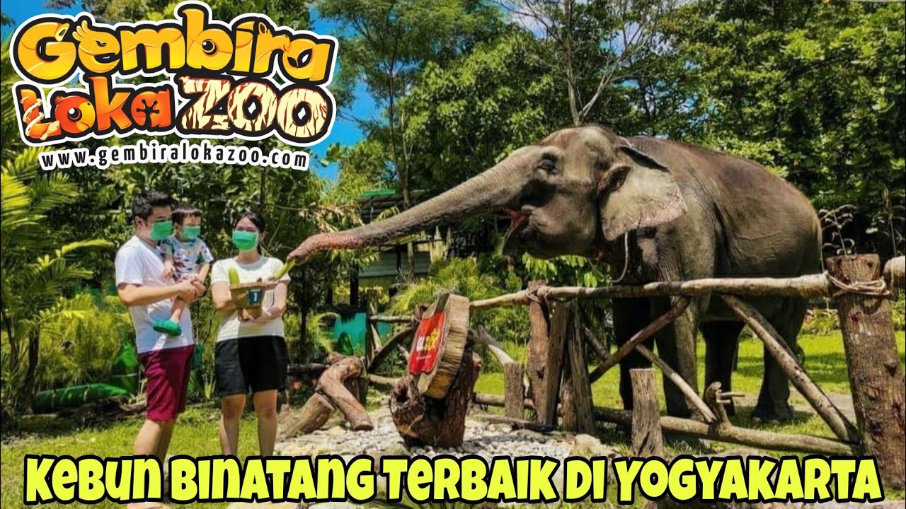 GEMBIRA LOKA ZOO YOGYAKARTA ‼️ KEBUN BINATANG TERBAIK DAN TERBESAR DI YOGYAKARTA | WISATA KELUARGA