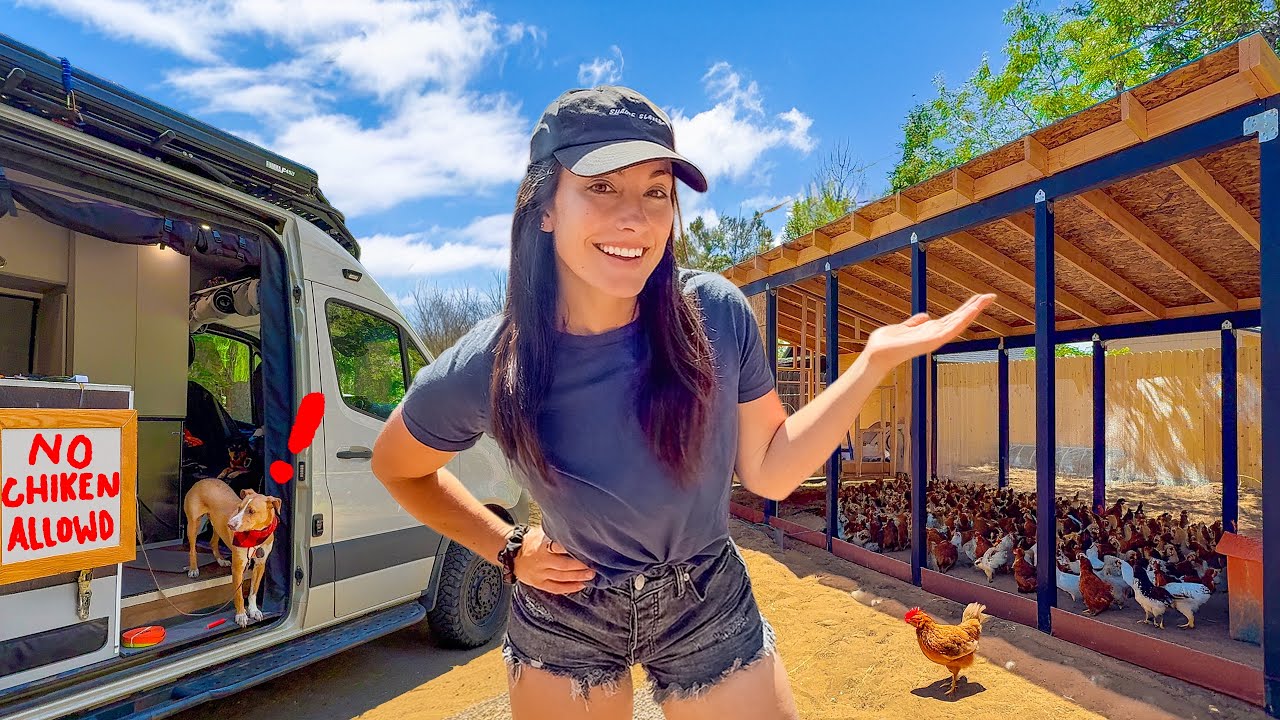 My Tiny Van Home is Smaller Than My Chicken's Home! (Coop Build Final Stretch)