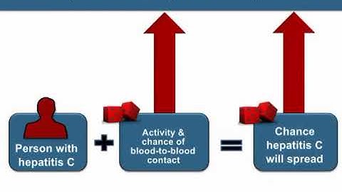 2 How is hepatitis C spread?