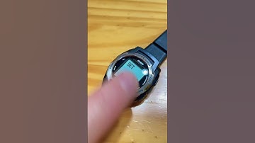 Casio WQV - 3 (Menu to delete photo and enter name).