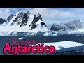 Our Zaandam Cruise to Antarctica