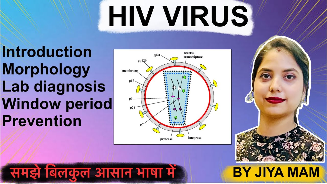 HIV VIRUS in Hindi | Morphology | Lab diagnosis | Window Period ...