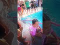 Everyone Fell Everyone Fell