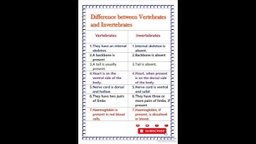 Difference between vertebrates and invertebrates