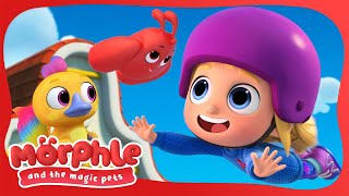 Flying In The Air! | Morphle and The Magic Pets | Available on Disney+ and Disney Jr