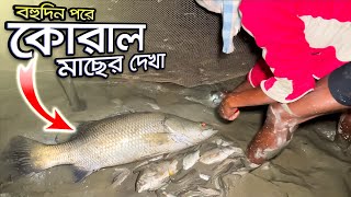 বহুদিন পর গড়া জালে বিশাল এক কোরাল মাছের দেখা | Sundarbans Fishing | Adventure BD