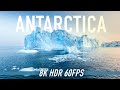 Antarctica in 8K HDR 60FPS