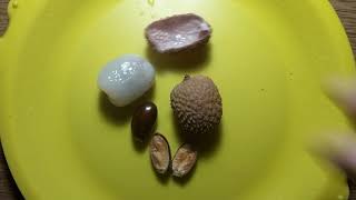 🌹ОБЗОР ЭКЗОТИЧЕСКОГО ФРУКТА ЛИЧИ КРАСНАЯ ИЛИ КИТАЙСКАЯ СЛИВА.ВКУС,ЦЕНА И МОЕ МНЕНИЕ О ФРУКТЕ. 🌹ОБЗОР ЭКЗОТИЧЕСКОГО ФРУКТА ЛИЧИ КРАСНАЯ ИЛИ КИТАЙСКАЯ СЛИВА.ВКУС,ЦЕНА И МОЕ МНЕНИЕ О ФРУКТЕ.