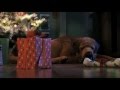 Il Figlio di Babbo Natale - Clip "Operazione Babbo Natale arriva in città"