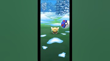 Shiny Stufful - Pokemon Go