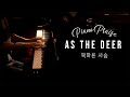 As the deer  piano praise by sangah noona