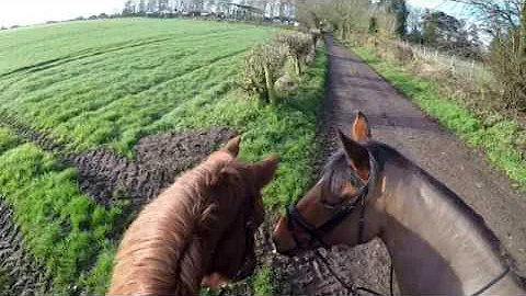 Early Morning Hack Go Pro 13.03.17