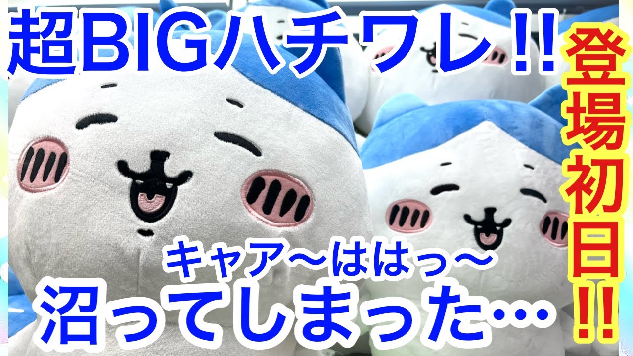 ちいかわ 超bigぬいぐるみ 初期 ちいかわ ハチワレ ちいかわ誕生日BIGぬいぐるみ【ハチワレ】 | LUCK☆ROCK(ラック