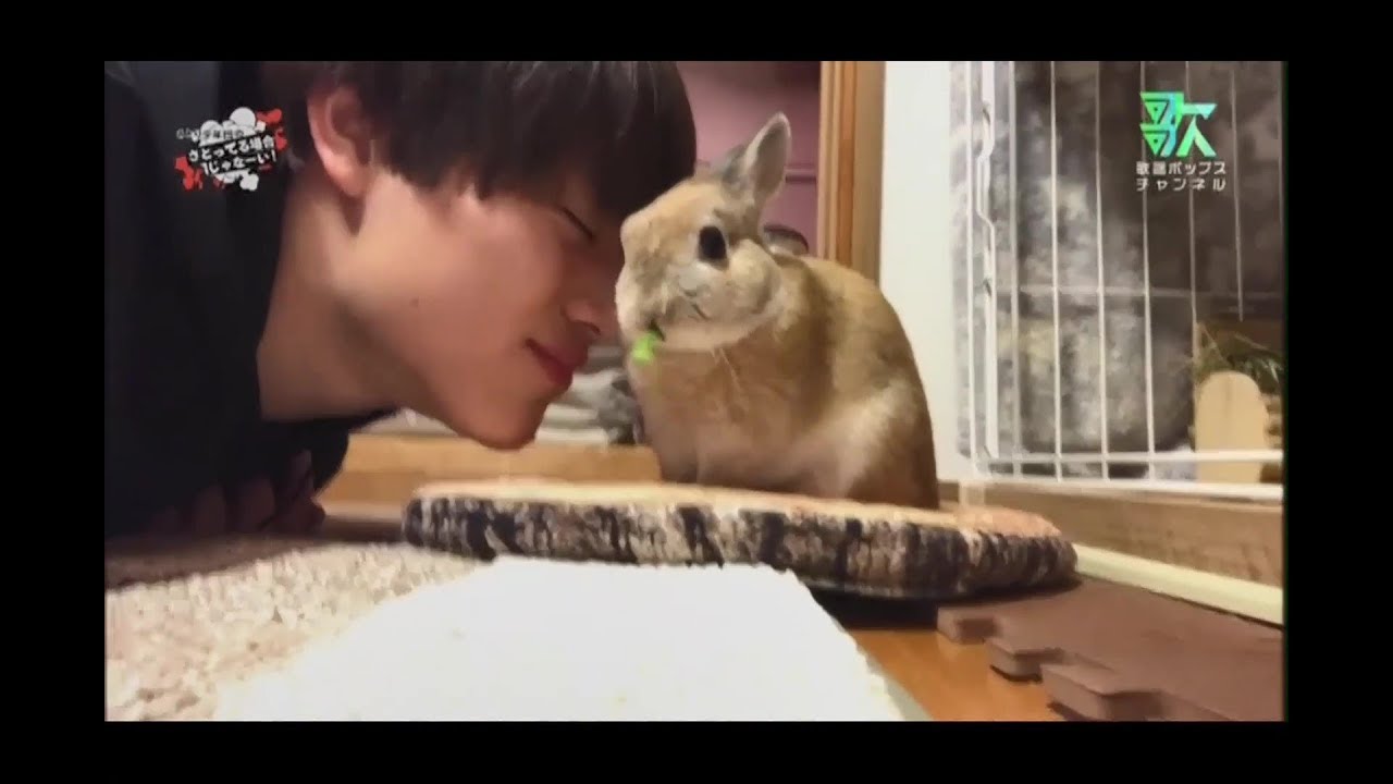 【うさぎ】さとり少年団 謙信くんのぴょん吉くんとムーンウォーク講座とワンエンメンバーのムーンウォーク