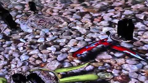 TOOSEN-LED   Floor tile interactive LED screen