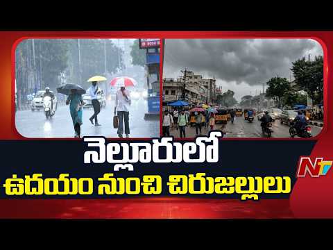Weather Update: బంగాళాఖాతంలో అల్పపీడనం.. నెల్లూరులో చిరుజల్లులు | NTV Telugu - NTVTELUGU
