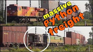 Celebrity Rare Giant double stack Python freight powered by WDG4G+ WAG9 and new painted wdp4d towards Jetalsar Profile