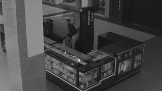 Woman Took $13,000 Worth Of Perfume From Roosevelt Field Mall Kiosk