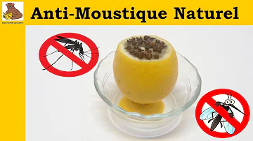 Quel est le meilleur Anti-moustique naturel