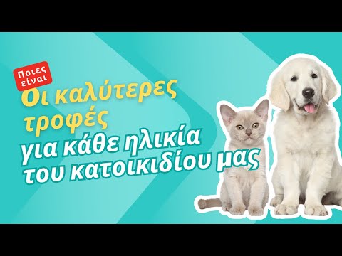 Ποιες είναι οι