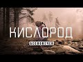 КИСЛОРОД НИКОГДА НЕ ИСЧЕЗНЕТ! | ПОЖАРЫ ЭТО НЕ КАТАСТРОФА.