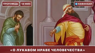 видео: О лукавом нраве человечества  картинка: О лукавом нраве человечества