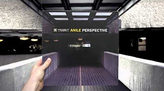 Anile - Perspective LP
