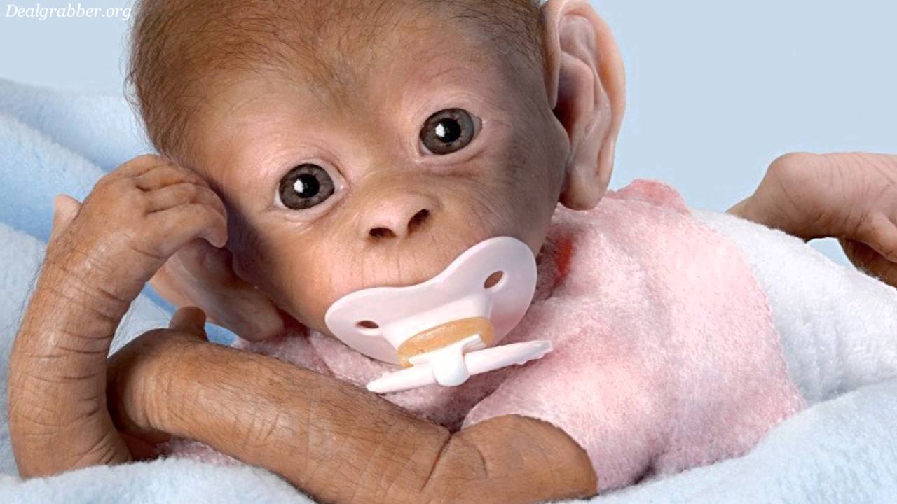 real life looking monkey dolls