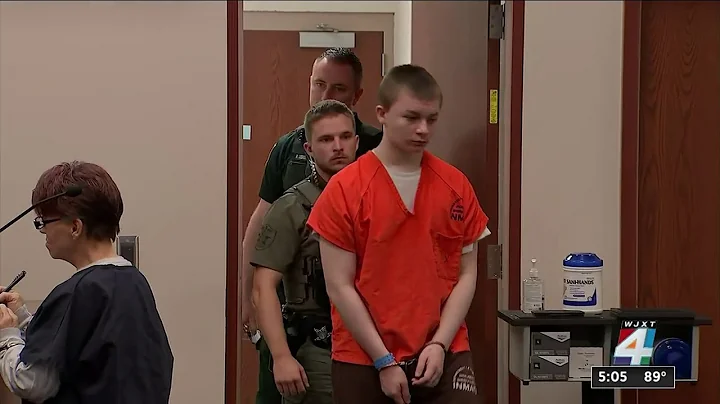 Accused killer Aiden Fucci appears in court in mur...