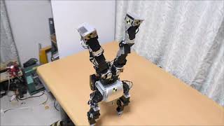 二足歩行ロボットによる床運動まとめ（Biped robot challenges floor exercise.）