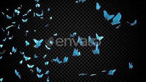 Blue Butterflies | Motion Graphics - Envato elements