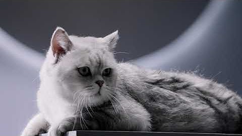 Roborock S6 MaxV : Remote Viewing and Access