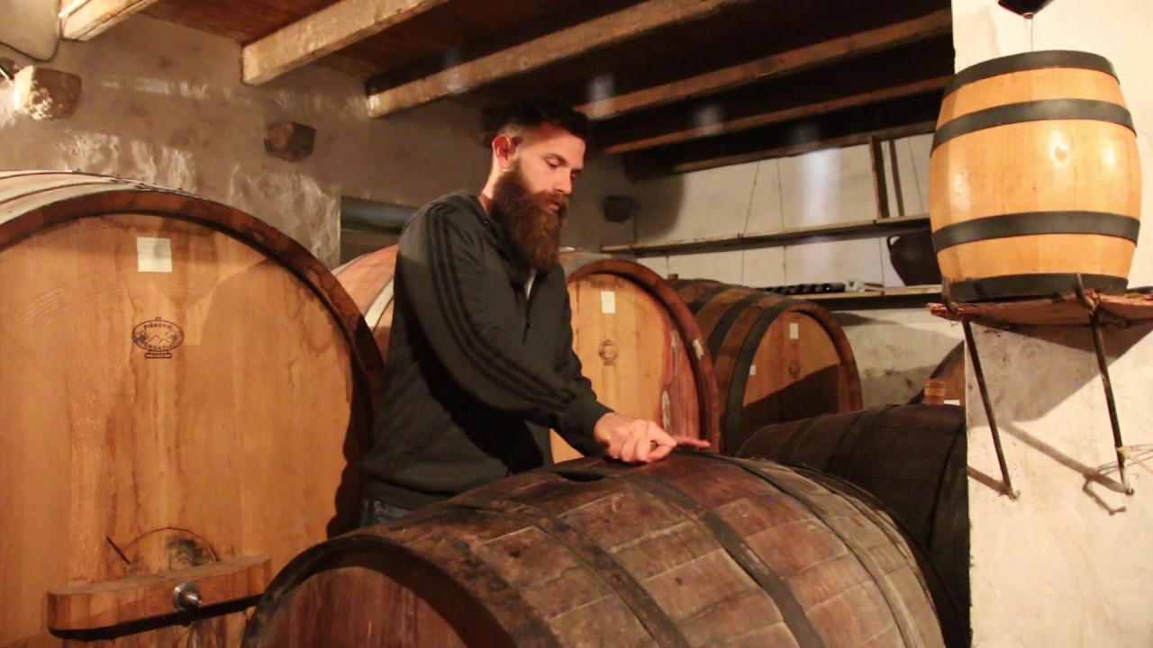 Ivan Miloš of Vinarija Miloš on the Different Croatian Wine Regions