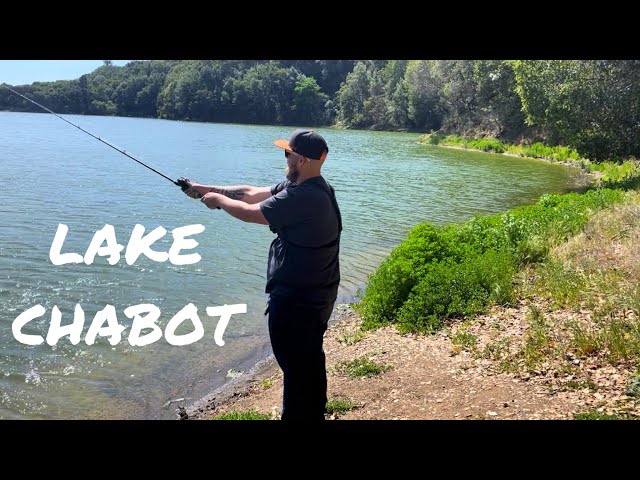 Fishing Lake Chabot (bass fishing) 