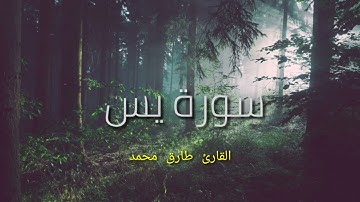 سوره يس صوت القارئ طارق محمد soura yasin  _tarek mohamed
