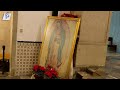 Solemnidad de Nuestra Señora de Guadalupe - Celebración Eucarística 12/12/2023 18:00 hrs.