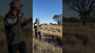 Farm Security is Essential on Australian Farms