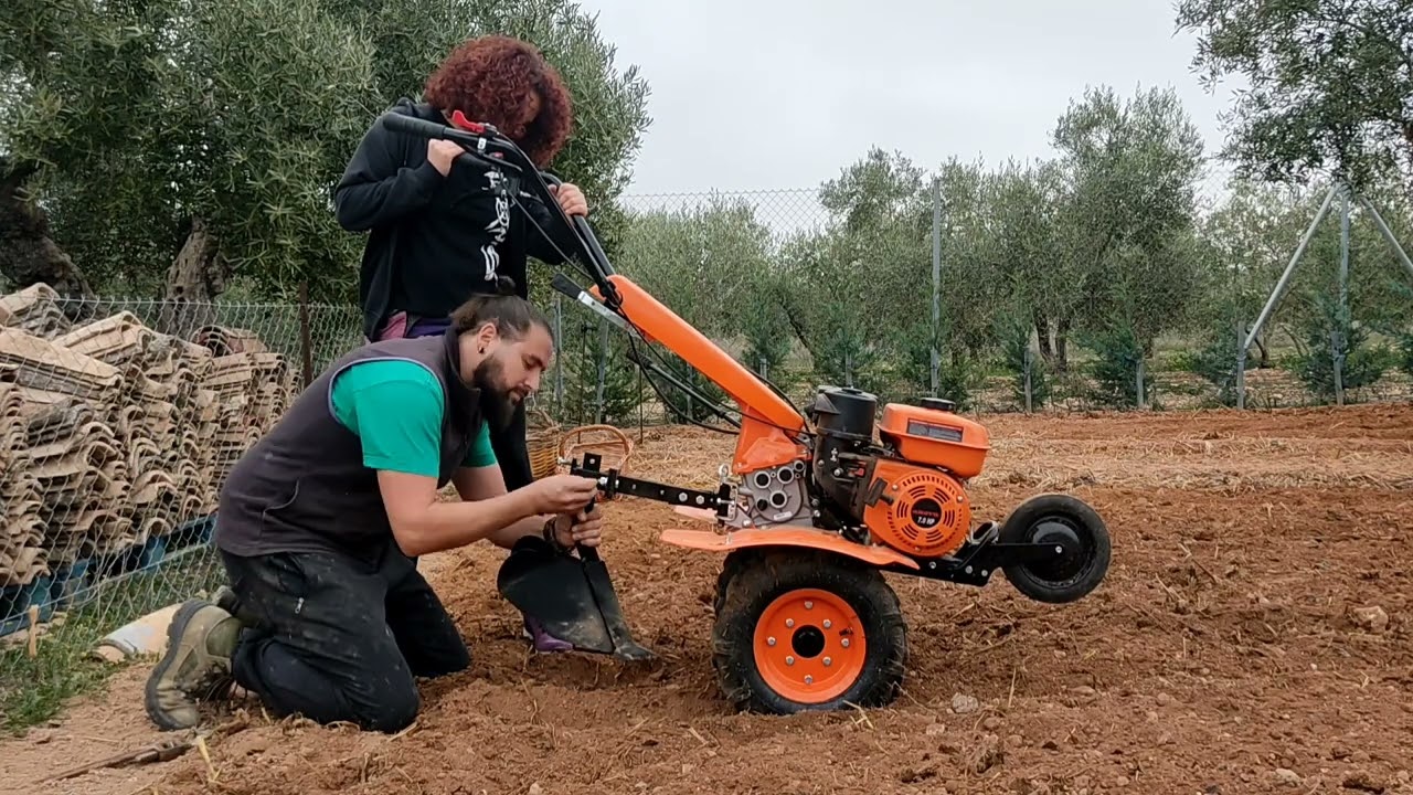 Siembra de la papa🥔