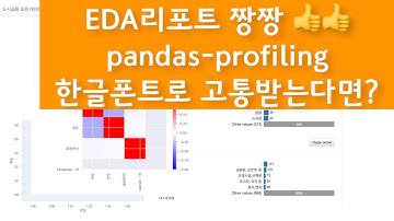 한번에 EDA 리포트 짱짱 pandas profiling 한글 폰트로 고통받는다면?