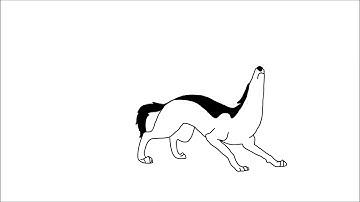 TupiTube Desk Exercise: "Meet Trezor!" by Nina Krasnova